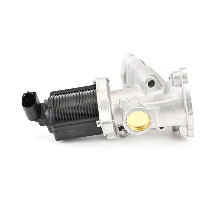 DELPHI EG10258-12B1: AGR - Ventil