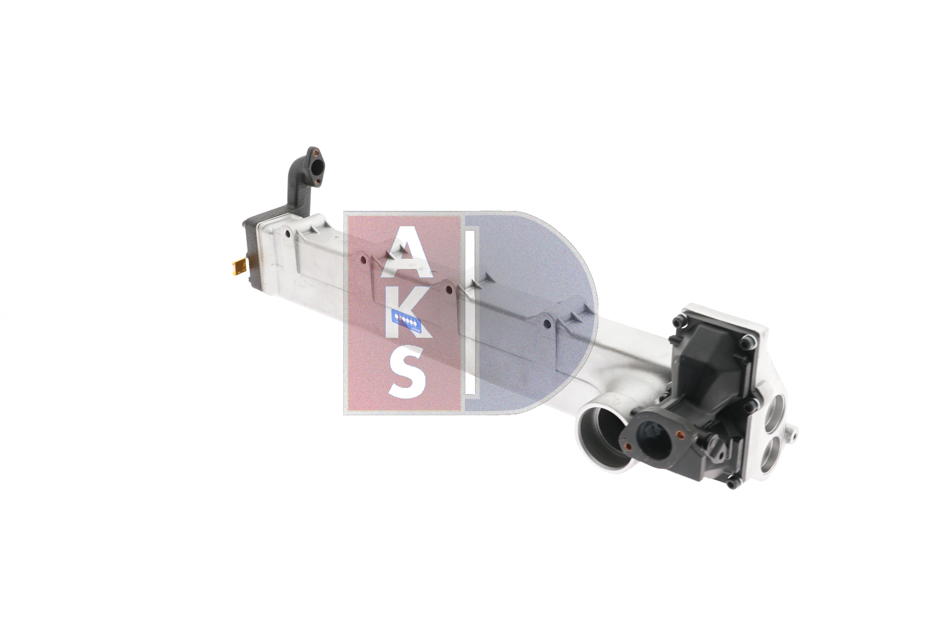 AKS DASIS 260028T: Modul-EGR