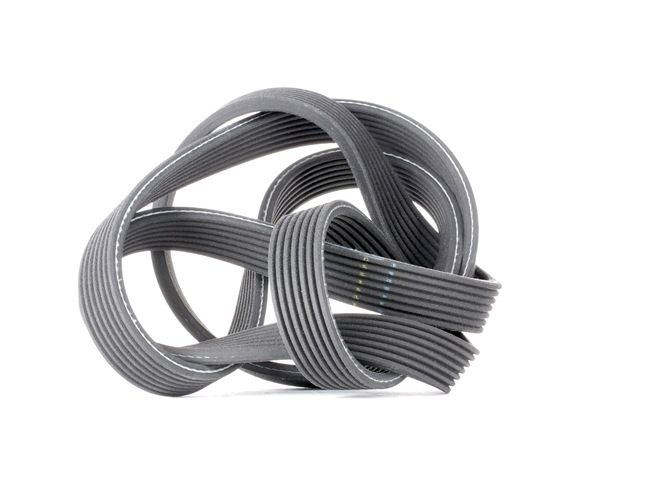 GATES 7DPK1880 Пистов ремък BMW X5 (E70) 245 K.C. дизел цена