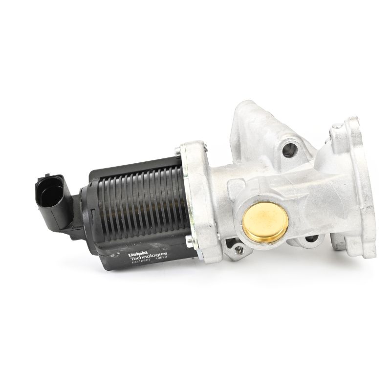 DELPHI EG10257-12B1: EGR klep