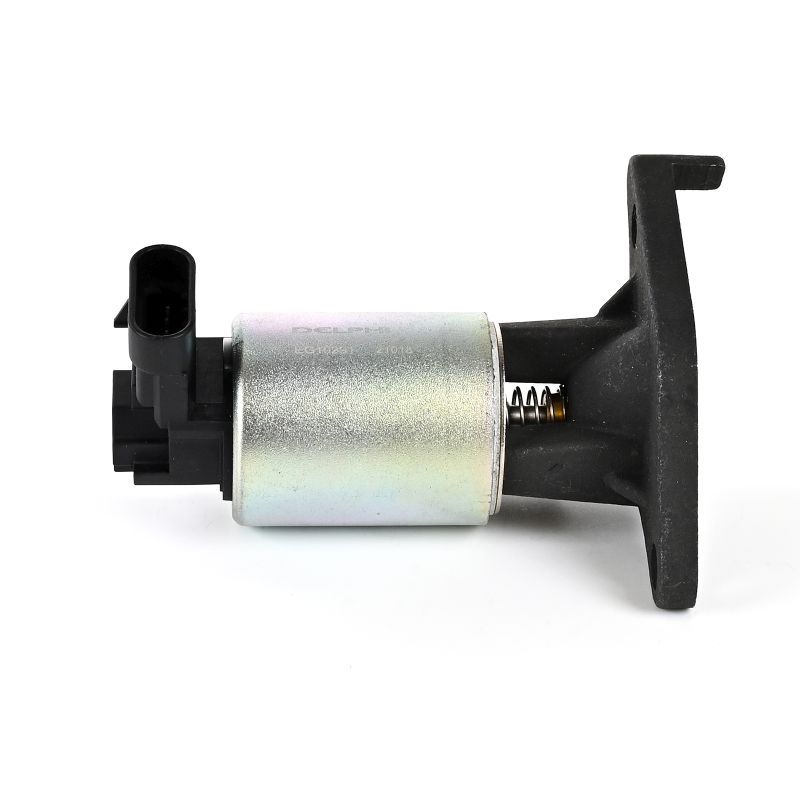 DELPHI EG10291-12B1: AGR - Ventil