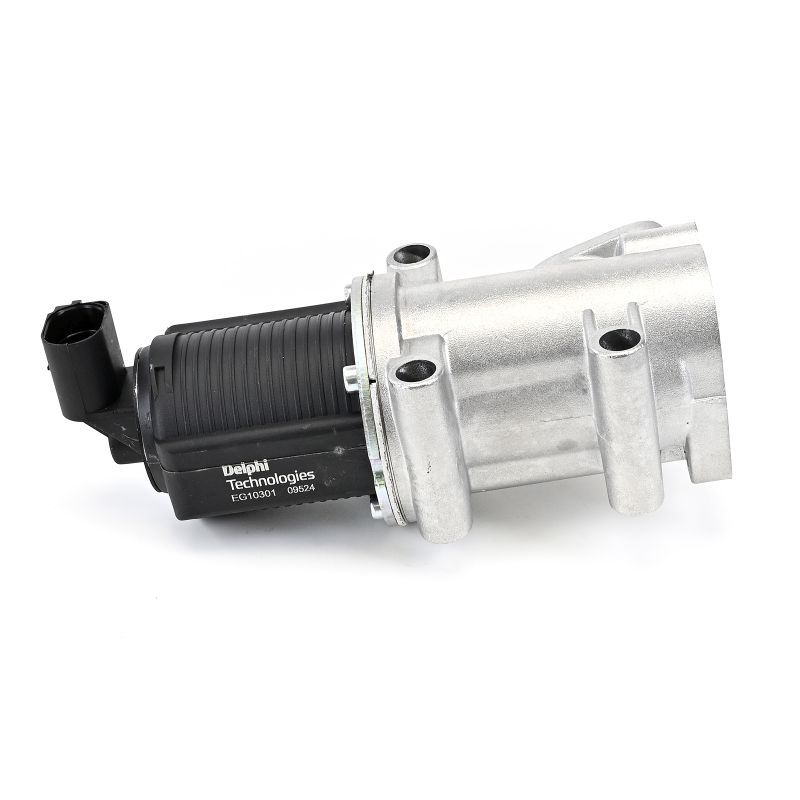 DELPHI EG10301-12B1: EGR-klapp