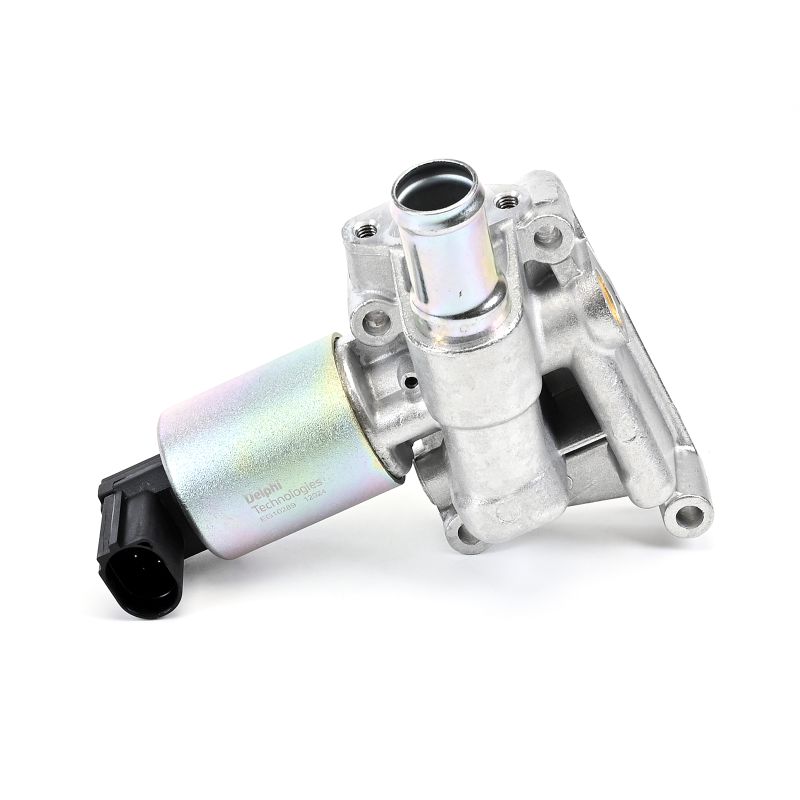 DELPHI EG10289-12B1: EGR klep
