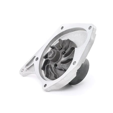 DOLZ R227: Pompe à eau