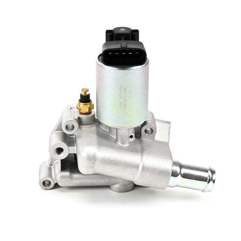 DELPHI EG10288-12B1: EGR klep
