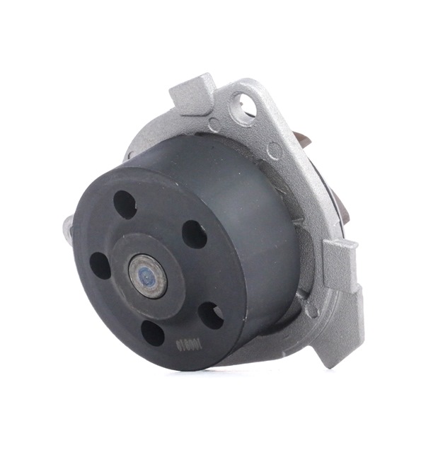 DOLZ S210: Pompe à eau