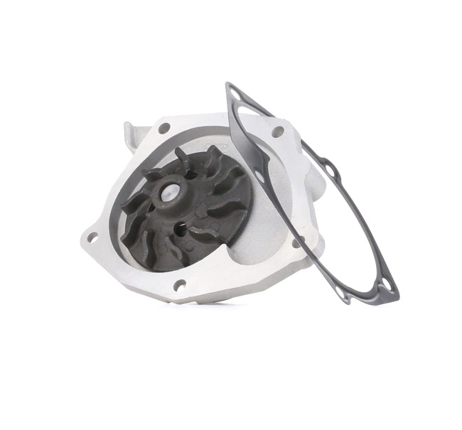 DOLZ R233: Pompe à eau