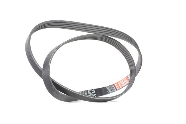 GATES Micro-V® 5PK1200 Cinghia servizi RENAULT MODUS / GRAND MODUS (F/JP0_) 88 CV Benzina costo