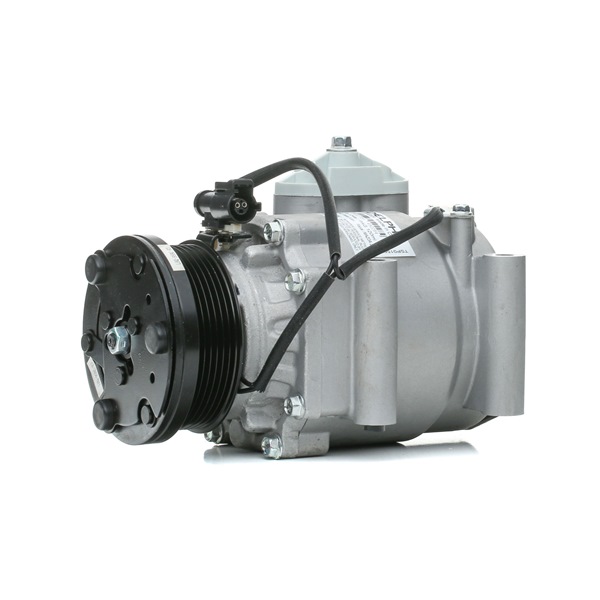 DELPHI TSP0159310: Compressore aria condizionata con olio compressore-PAG