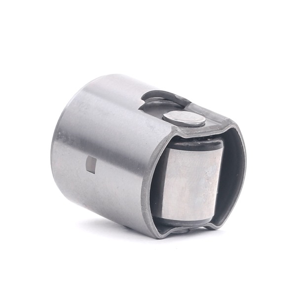 INA 711 0294 10 Ωστήριο, αντλία υψηλής πίεσης SEAT Toledo 4 (KG3) 95 PS Βενζίνη κόστος