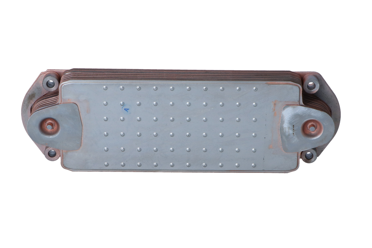 NRF 31198: Radiator ulei, ulei motor