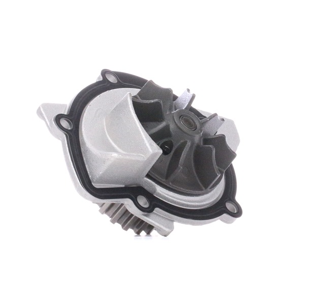 DOLZ C121: Wasserpumpe Zähnez.: 28