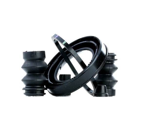 FRENKIT 248056: Set reparatie, etrier