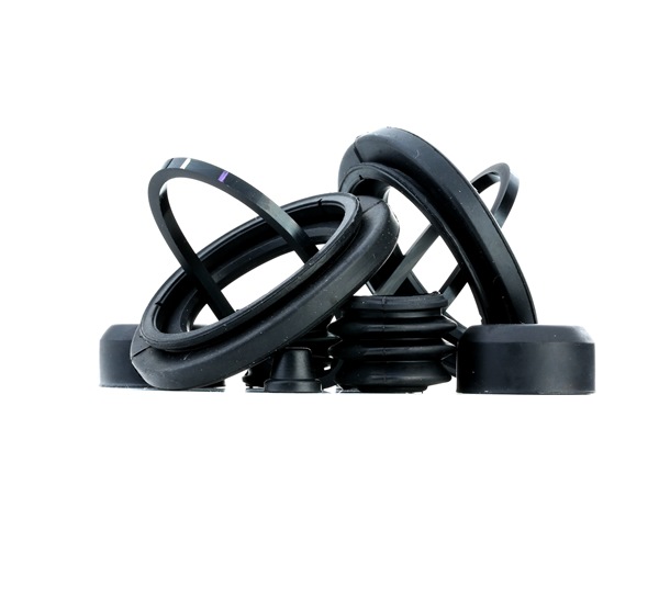 FRENKIT 248081: Kit di revisione della pinza freno