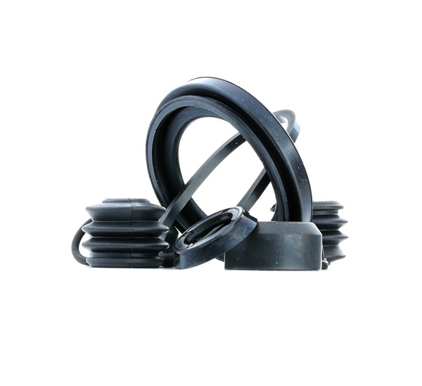 FRENKIT 252009: Kit di revisione della pinza freno