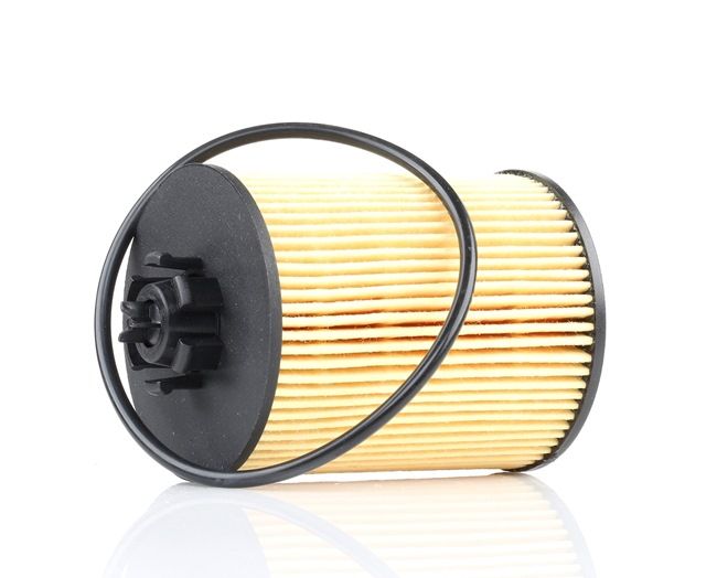 KAMOKA F102801: Eļļas filtrs