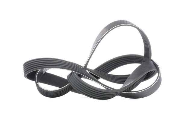 GATES 6PK1795: Curea transmisie cu caneluri 1795mm, Numar nervuri: 6, G-Force WorkHorse™