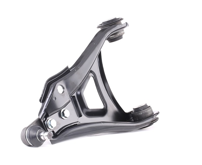 MONROE L25519 Braccio oscillante, sospensione ruota RENAULT KANGOO Express (FC0/1_) 82 CV Diesel costo