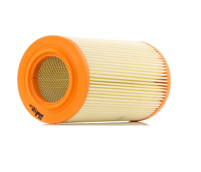PURFLUX A1009: Gaisa filtrs