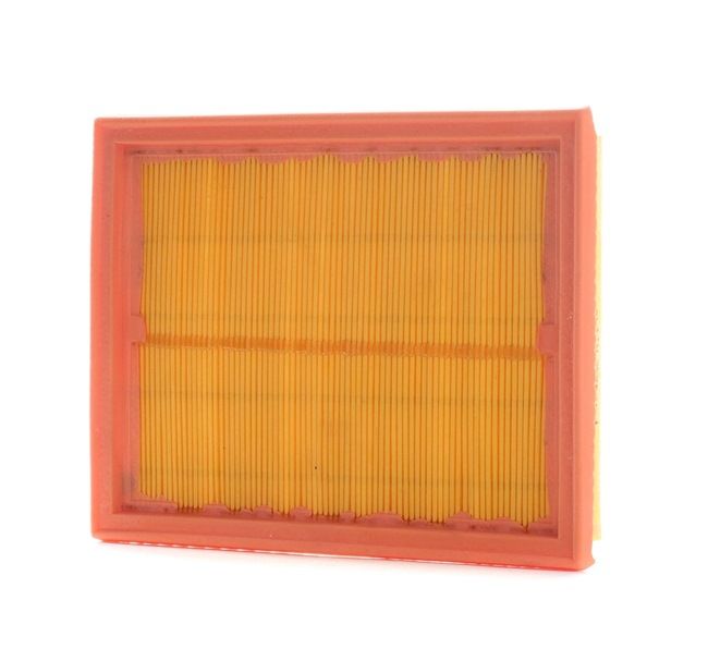 PURFLUX A1145: Õhufilter