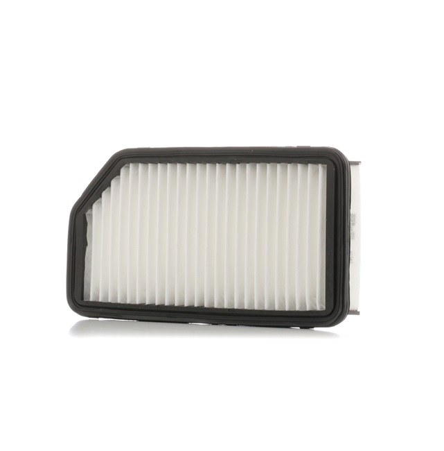 PURFLUX A1343: Luftfilter