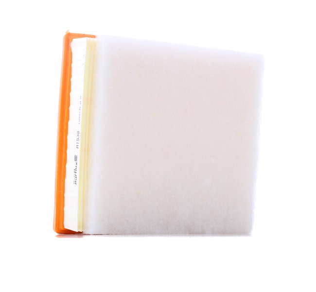 PURFLUX A1538: Gaisa filtrs