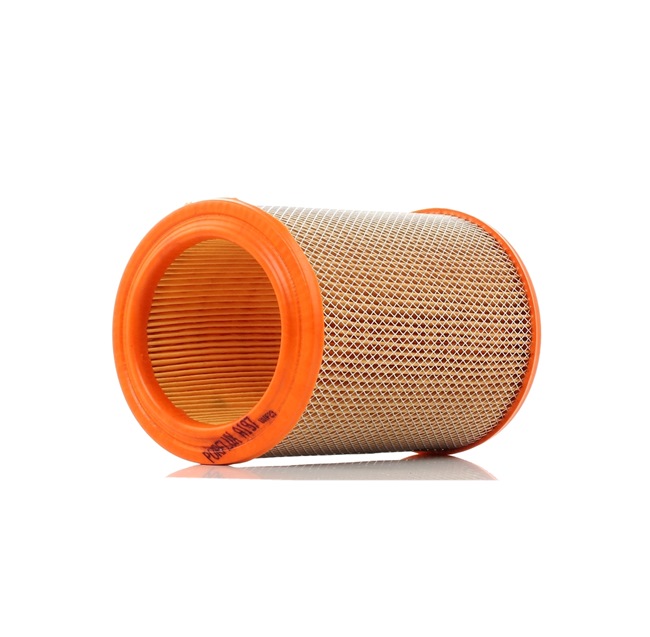 PURFLUX A197: Gaisa filtrs