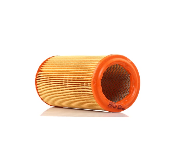 PURFLUX A224: Filtro aria