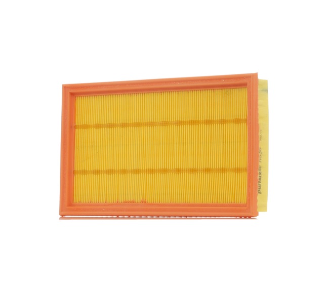 PURFLUX A838: Filtro aria