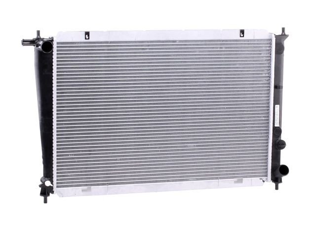 STARK SKRD-0120104: Radiateur du moteur avec accessoires