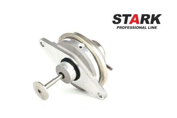 STARK SKEGR-0770019: EGR klep Met pakking