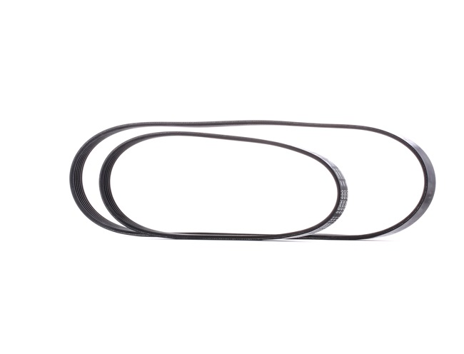 BOSCH 1 987 946 197: Juego de correas trapeciales poli V Elastic