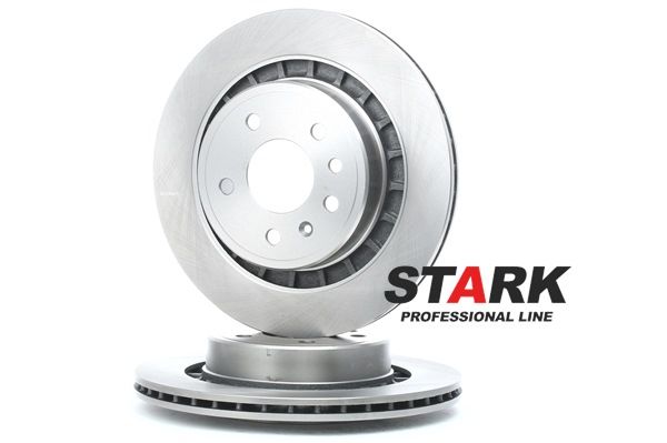 STARK SKBD-0022252: Stabdžių diskas galinė ašis, Ø: 300mm, ventiliuojama, ketus, Ø: 300mm, nedengtas, be varžtų