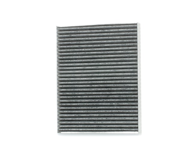 STARK SKIF-0170133: Innenraumfilter Aktivkohlefilter, Schwebstofffilter (HEPA)