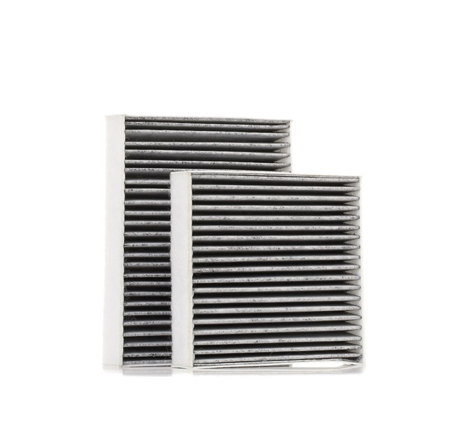 STARK SKIF-0170200: Filtro abitacolo Filtro al carbone attivo, Filtro materiale in sospensione (HEPA)