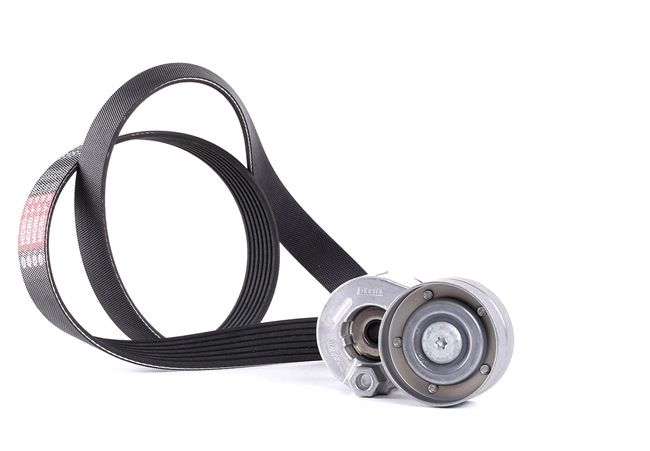 GATES EuroGrip® K017PK1125 Комплект пистов ремък RENAULT MEGANE 2 Coupe-Cabriolet (EM0/1) 139 K.C. бензин цена