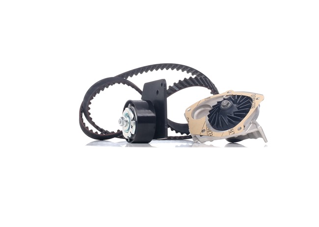 BOSCH 1 987 946 485 Bomba de agua + kit de correa de distribución RENAULT SCENIC 3 (JZ0/1) 131 cv Gasóleo costo