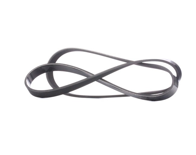DAYCO 6PK1381: Cinghia servizi 1381,0mm, N° di nervature: 6