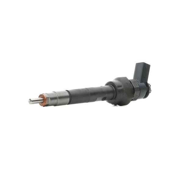 BOSCH 0 986 435 245: Sissepritsedüüs koos rõngastihendiga