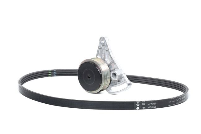 INA 529 0099 10: Set curea transmisie cu caneluri