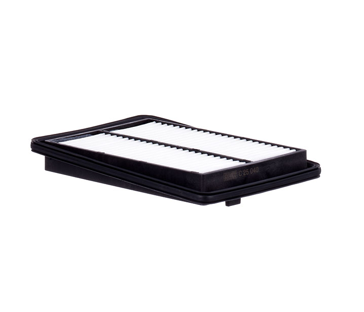 MANN-FILTER C 25 040: Gaisa filtrs