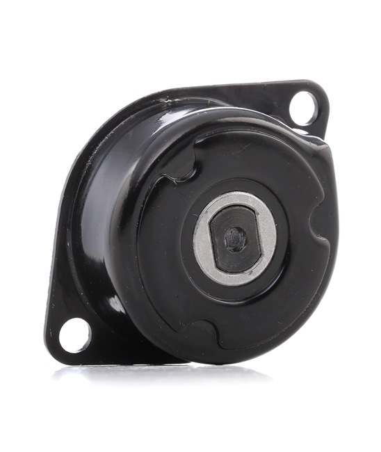 STARK SKTL-0610004 Βραχίονας σύσφιγξης, ιμάντας poly-V SEAT TOLEDO 1 (1L) 75 PS Πετρέλαιο κόστος