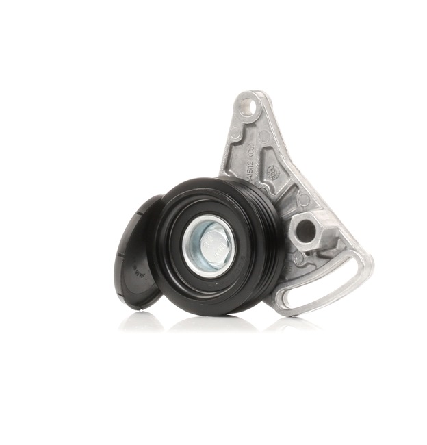 STARK SKTP-0600001: Poulie, tendeur de courroie d'accessoire Ø: 59,80mm, Ø: 59,80mm