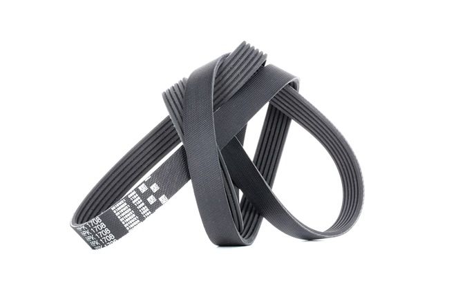 GATES 6PK1708: Curea transmisie cu caneluri 1708mm, Numar nervuri: 6, G-Force WorkHorse™