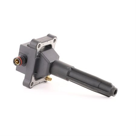 BREMI 20509: Bobine 12V, 2-polig