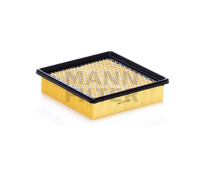 MANN-FILTER C 19 003: Filtru aer