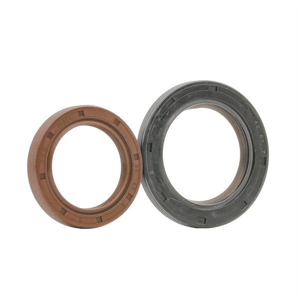 PAYEN HL5010: Set garnit. etans.arbore, motor