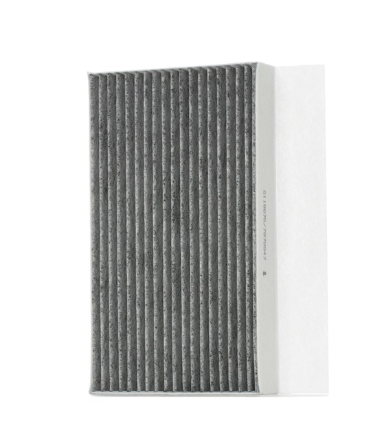 STARK SKIF-0170199: Filtro abitacolo Filtro al carbone attivo, Filtro materiale in sospensione (HEPA)