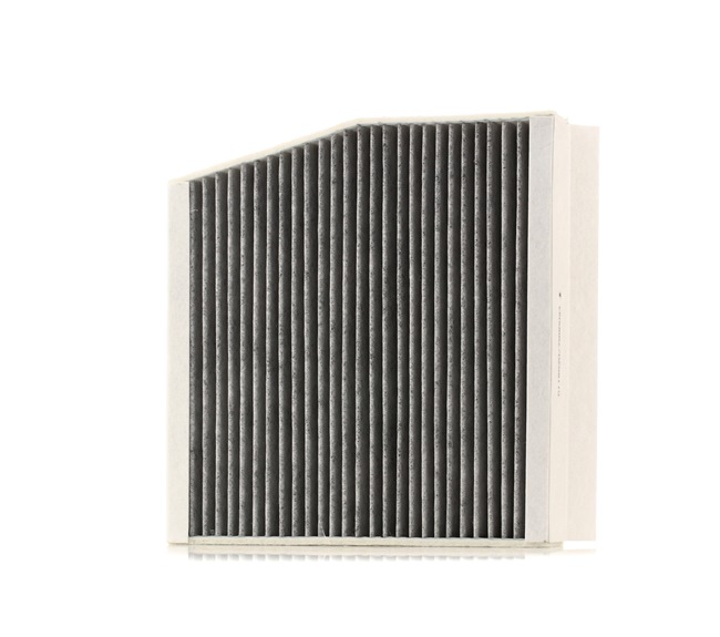 STARK SKIF-0170261: Interieurfilter Carbon filter