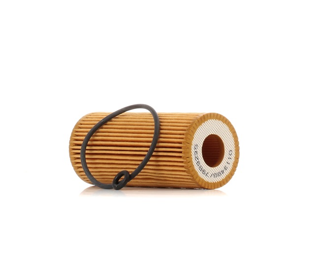 STARK SKOF-0860066: Filtro olio con guarnizioni